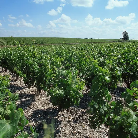 Ibis Centre Gare Saint Jean Euratlantique Bordeaux