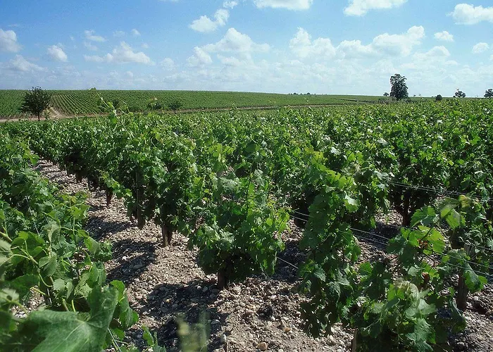 ホテル イビス サントル ガール サン ジャン ユーラトランティーク